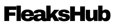Fleaks Hub